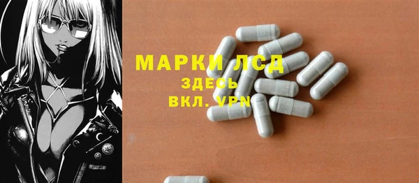 дмт Алзамай