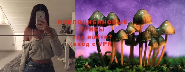 дмт Алзамай